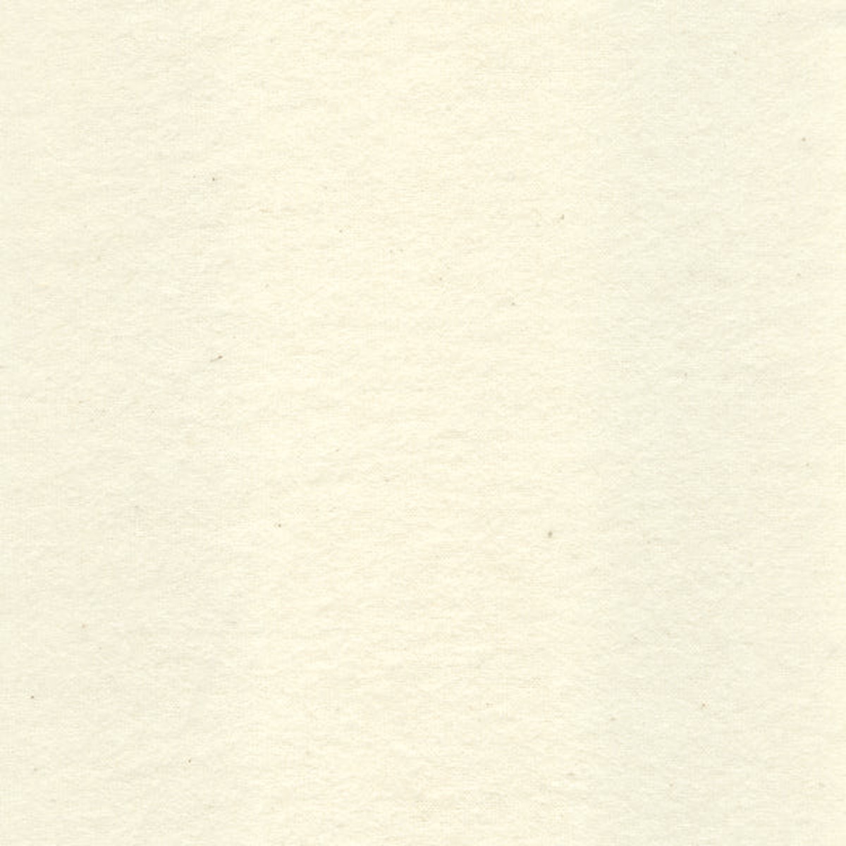 Ivory Cotton Flannel Fabric - Reorderable
